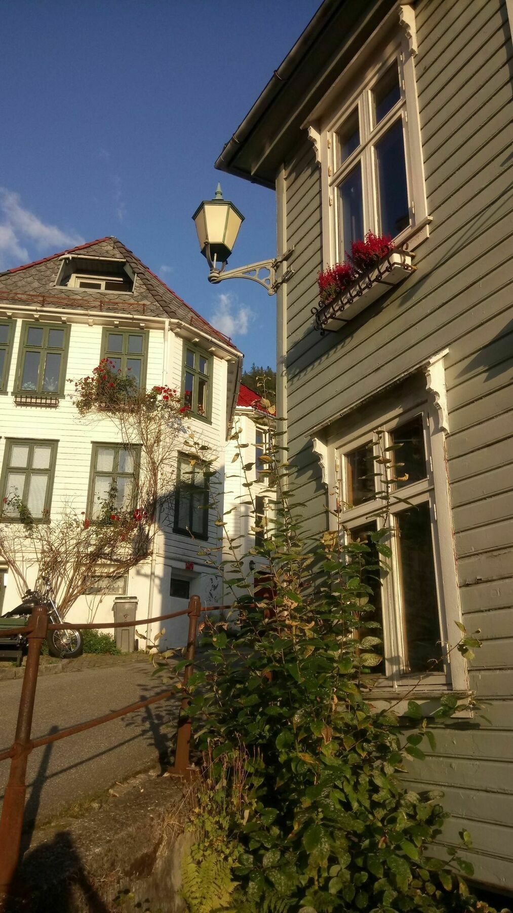 Center Villa Bergen Esterno foto